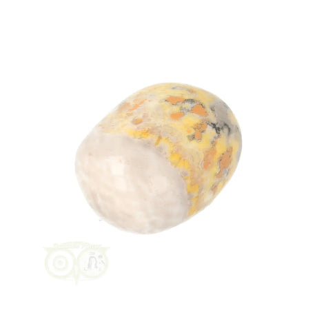 Bumble Bee Jasper tumbled stone no. 16 - 23 grams | Gemstone