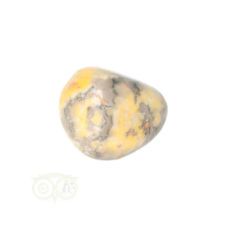Bumble Bee Jasper tumbled stone no. 17 - 13 grams | Gemstone