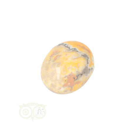 Bumble Bee Jasper tumbled stone no. 18 - 14 grams | Gemstone