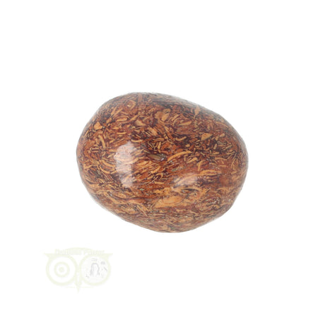 Coquina Jasper tumbled stone No. 11