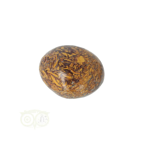 Coquina Jasper tumbled stone No. 17