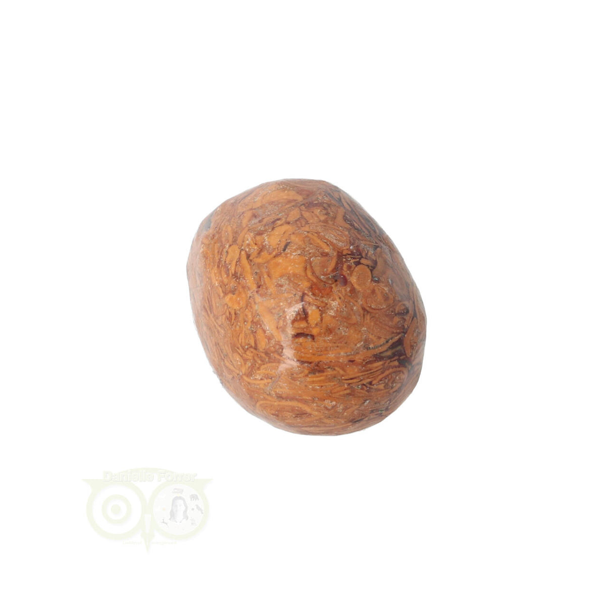 Coquina Jasper tumbled stone No. 5