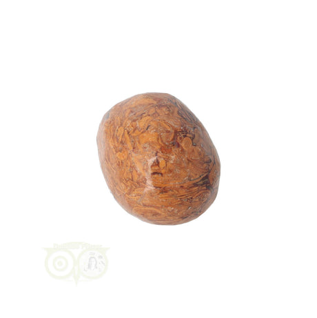 Coquina Jasper tumbled stone No. 5