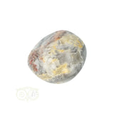 Crazy Lace Agaat trommelsteen nr. 32 - 15 gram | Edelsteen