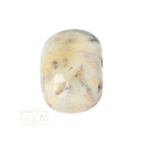 Crazy Lace Agaat trommelsteen nr. 37 - 17 gram | Edelsteen