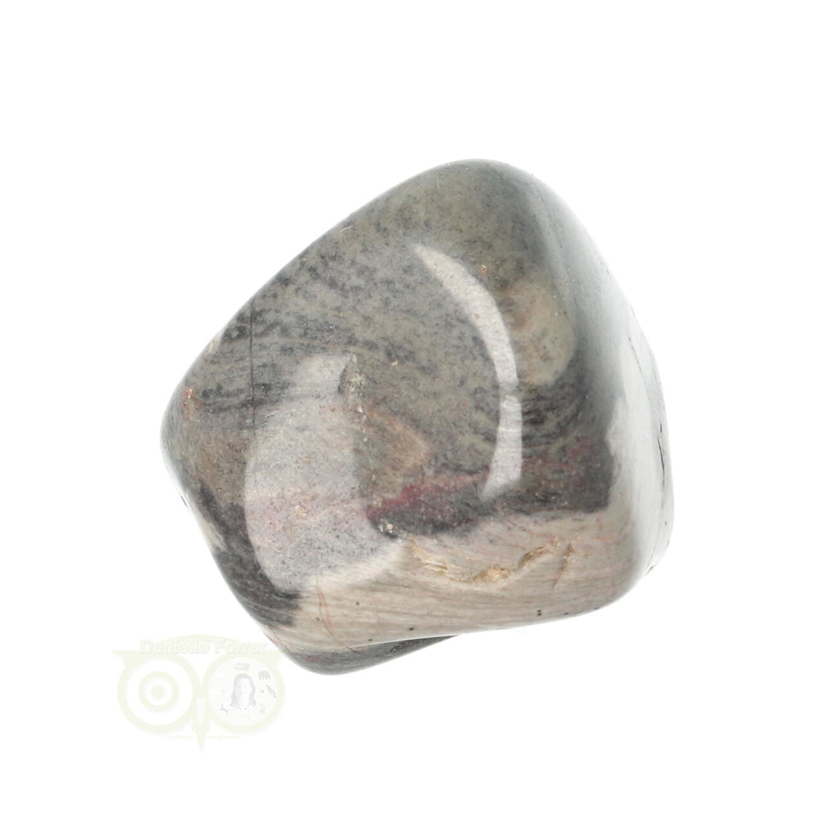 Jaspis Zilverblad trommelsteen nr. 10 - 22 gram | Edelsteen