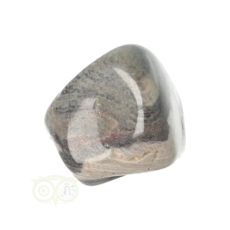 Jaspis Zilverblad trommelsteen nr. 10 - 22 gram | Edelsteen