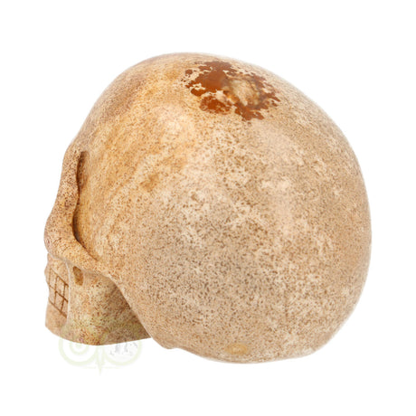 Landschaps jaspis schedel nr. 79 – 291 gram | Edelsteen skull