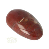 Versteend hout handsteen nr. 8 - 79 gram | Edelsteen