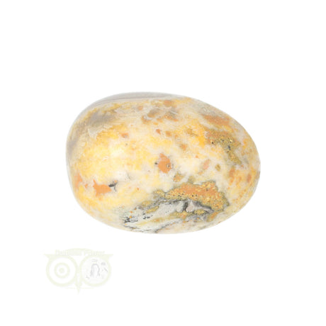Bumble Bee Jasper tumbled stone no. 10 - 21 grams | Gemstone