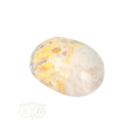 Bumble Bee Jasper tumbled stone no. 16 - 23 grams | Gemstone