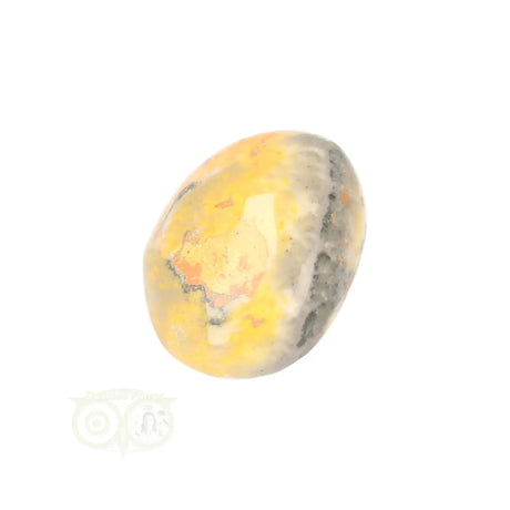 Bumble Bee Jasper tumbled stone no. 17 - 13 grams | Gemstone