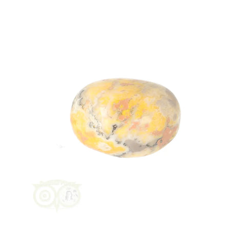 Bumble Bee Jasper tumbled stone no. 18 - 14 grams | Gemstone
