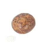 Coquina Jaspis trommelsteen nr. 11 - 22 gram | Edelsteen