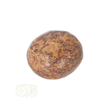 Coquina Jasper tumbled stone No. 11