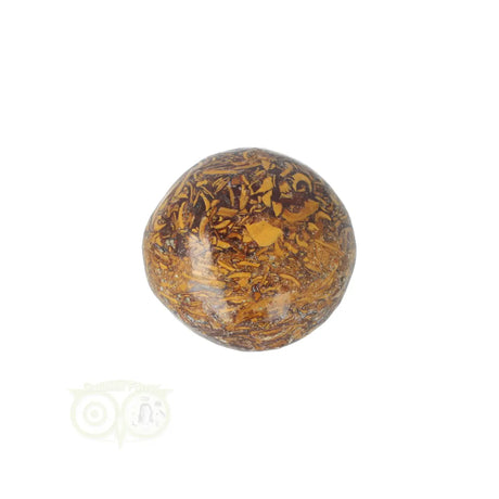 Coquina Jasper tumbled stone No. 17