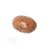 Coquina Jasper tumbled stone No. 5