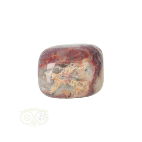 Crazy Lace Agate tumbled stone No. 14