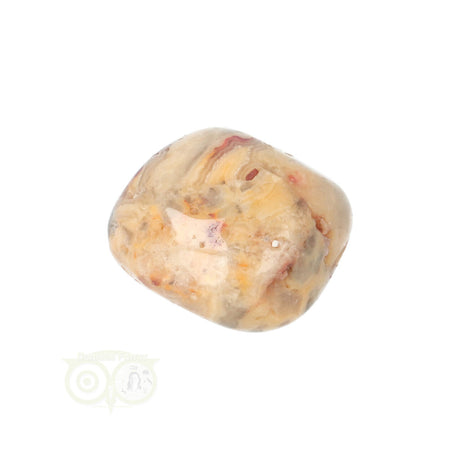 Crazy Lace Agaat trommelsteen nr. 24 - 19 gram | Edelsteen