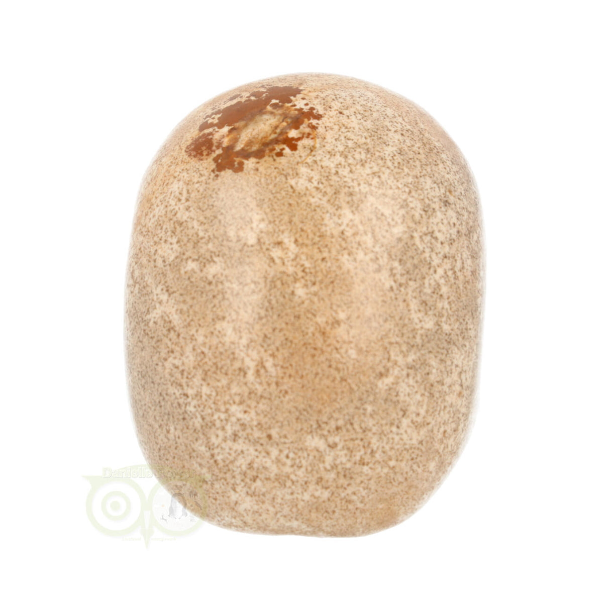Landschaps jaspis schedel nr. 79 – 291 gram | Edelsteen skull
