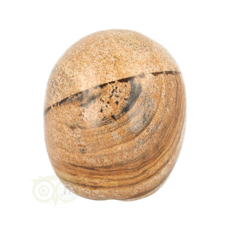 Landschaps jaspis schedel nr. 154 – 305 gram | Edelsteen skull