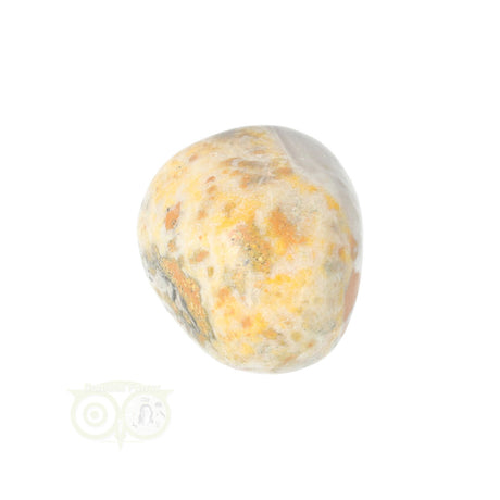 Bumble Bee Jasper tumbled stone no. 10 - 21 grams | Gemstone
