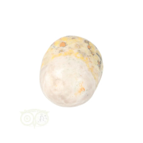 Bumble Bee Jasper tumbled stone no. 16 - 23 grams | Gemstone