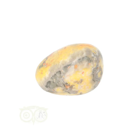 Bumble Bee Jasper tumbled stone no. 17 - 13 grams | Gemstone