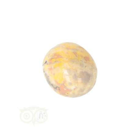 Bumble Bee Jasper tumbled stone no. 18 - 14 grams | Gemstone