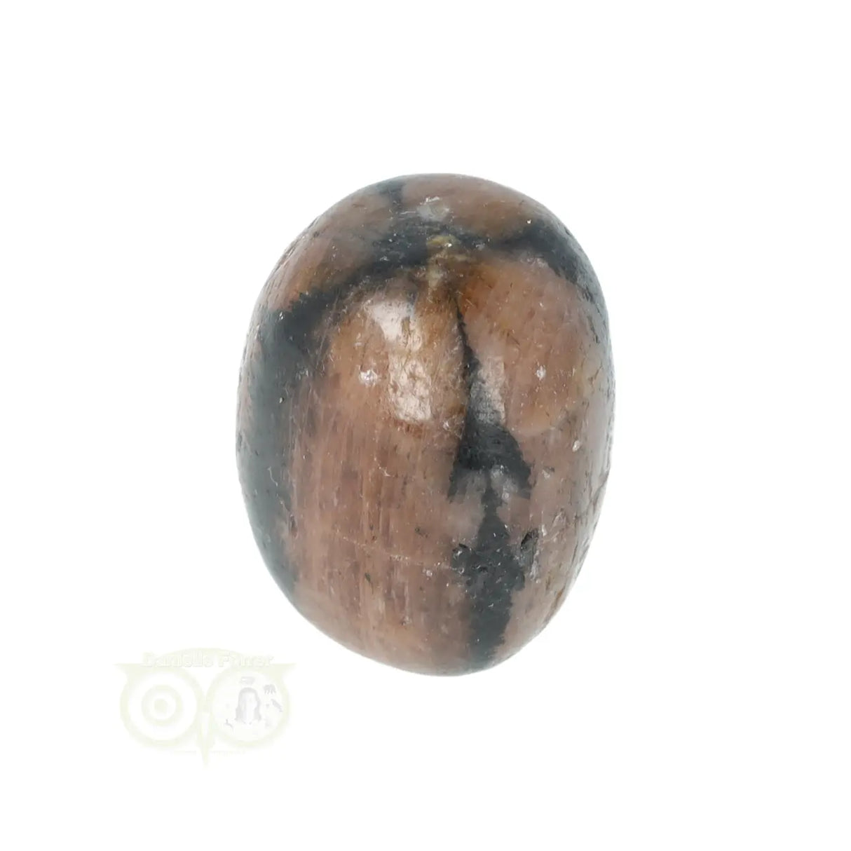 Chiastoliet ( Kruissteen ) trommelsteen nr. 22 - 20 gram | Edelsteen