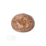 Coquina Jaspis trommelsteen nr. 11 - 22 gram | Edelsteen