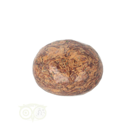 Coquina Jasper tumbled stone No. 11
