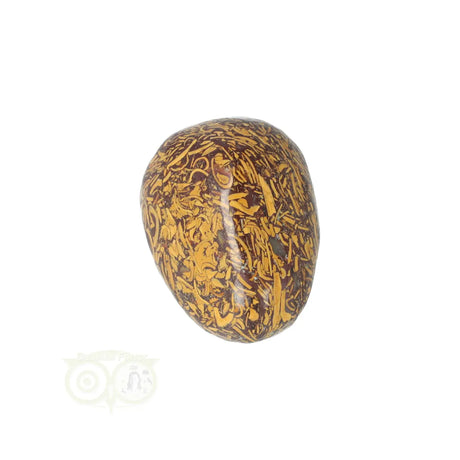 Coquina Jasper tumbled stone No. 15
