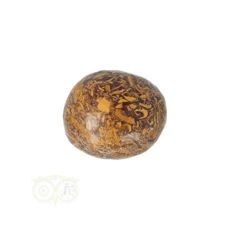 Coquina Jasper tumbled stone No. 17
