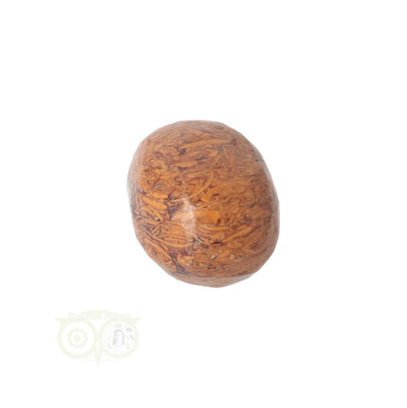 Coquina Jasper tumbled stone No. 5