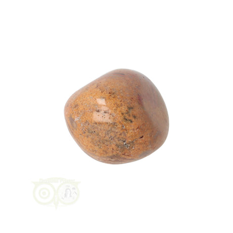 Crazy Lace Agate tumbled stone No. 22