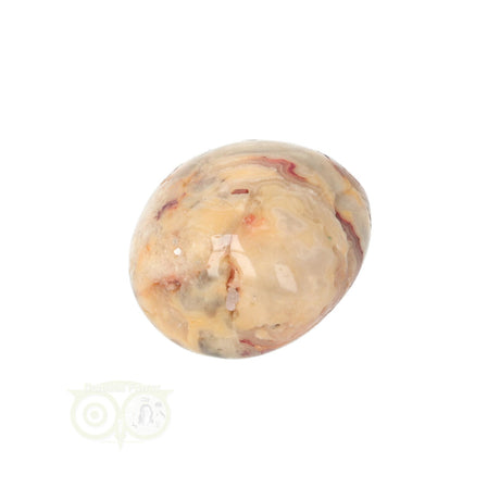 Crazy Lace Agaat trommelsteen nr. 24 - 19 gram | Edelsteen