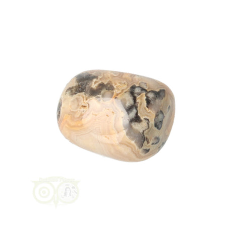 Crazy Lace Agate tumbled stone No. 8