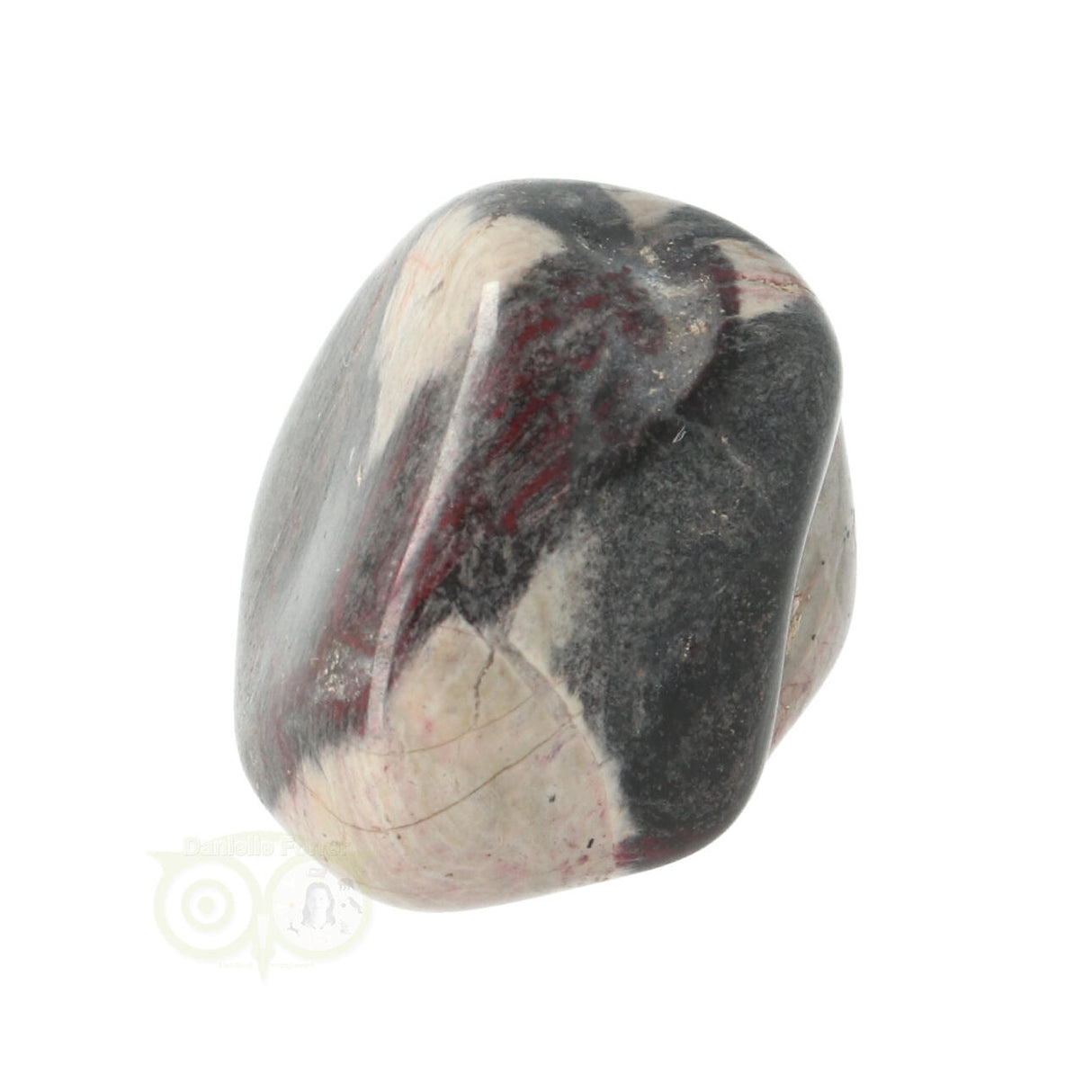 Jaspis Zilverblad trommelsteen nr. 10 - 22 gram | Edelsteen
