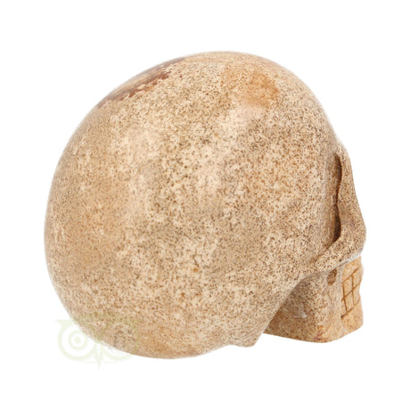 Landschaps jaspis schedel nr. 79 – 291 gram | Edelsteen skull