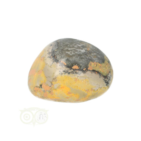 Bumble Bee Jaspis trommelsteen nr. 12 - 21 gram | Edelsteen