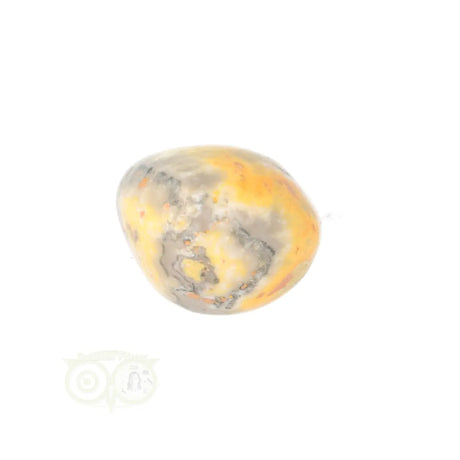 Bumble Bee Jasper tumbled stone no. 17 - 13 grams | Gemstone