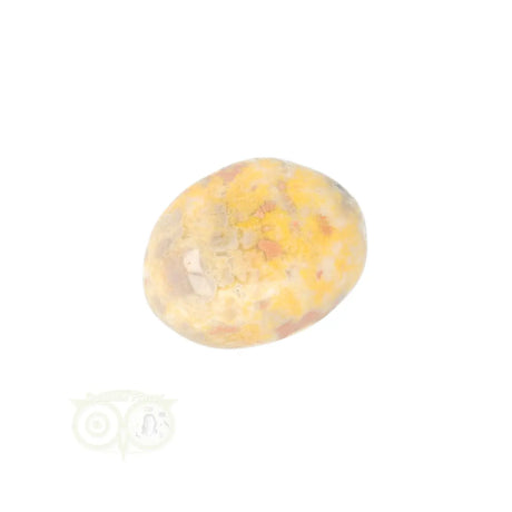 Bumble Bee Jasper tumbled stone no. 18 - 14 grams | Gemstone