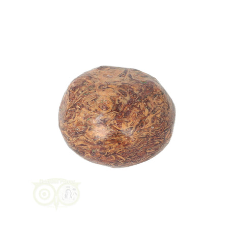 Coquina Jasper tumbled stone No. 11