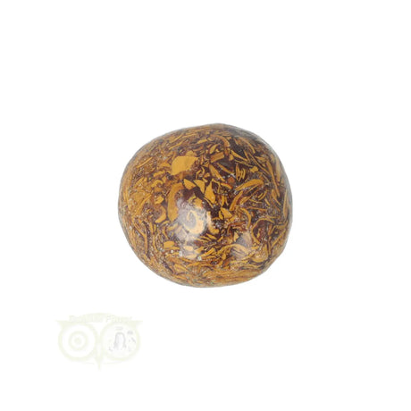 Coquina Jasper tumbled stone No. 17