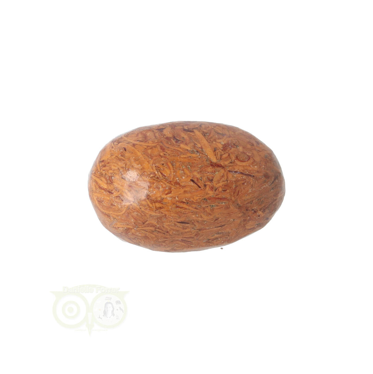 Coquina Jasper tumbled stone No. 5