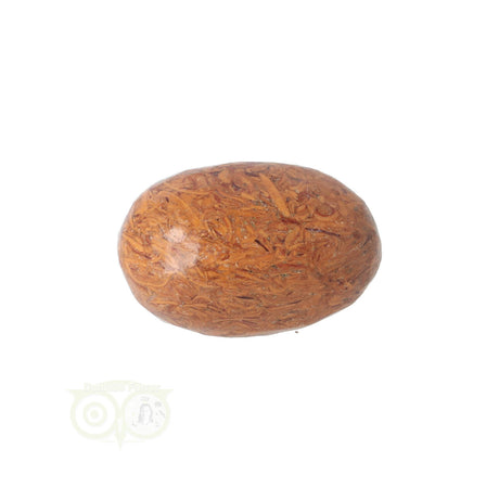 Coquina Jasper tumbled stone No. 5