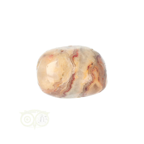 Crazy Lace Agaat trommelsteen nr. 24 - 19 gram | Edelsteen