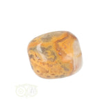 Crazy Lace Agaat trommelsteen nr. 26 - 16 gram | Edelsteen
