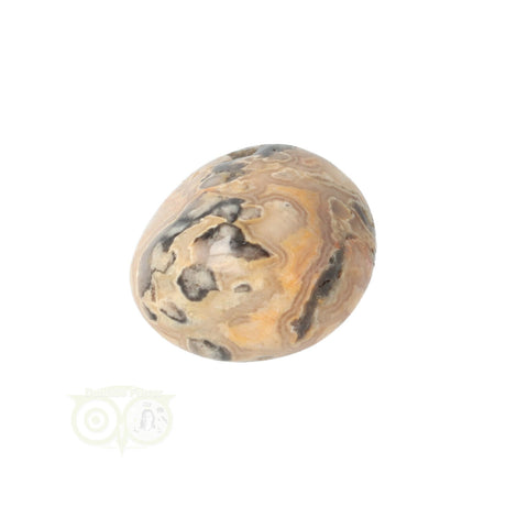 Crazy Lace Agate tumbled stone No. 8